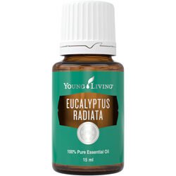 Eukalyptus radiata 15 ml (kühlend, erfrischend, belebend)