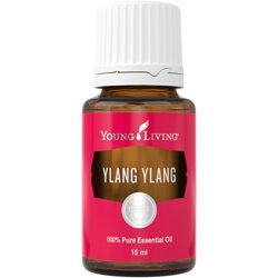 Ylang Ylang 15ml (herzerwärmend & ausgleichend)