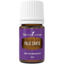 Palo Santo 5 ml (schützend-beruhigend)