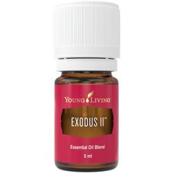 Exodus II 5 ml (stärkend & aufbauend)
